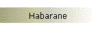 Habarane