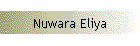 Nuwara Eliya